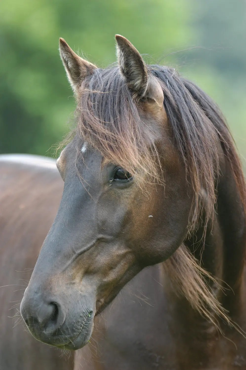 Unsere neusten Infos