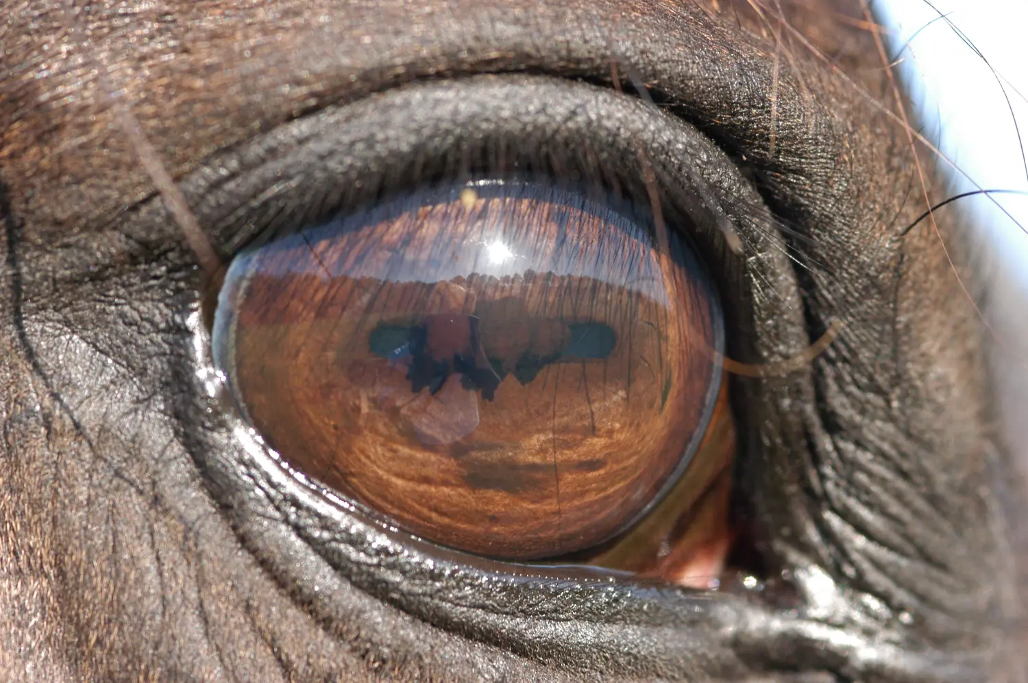 Unsere neusten Infos