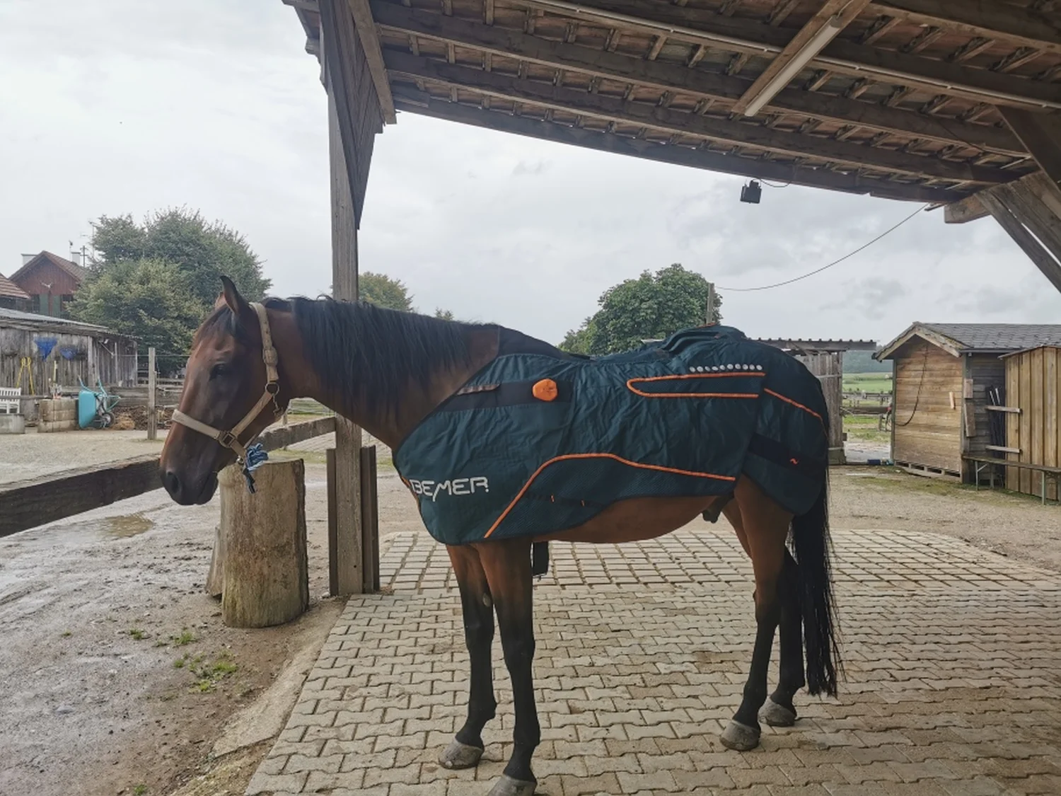 Bemer Verleih und Beratung